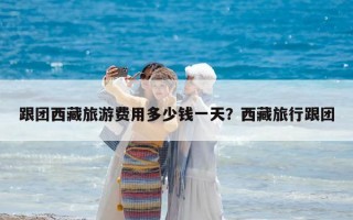 跟團西藏旅游費用多少錢一天？西藏旅行跟團