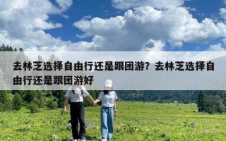 去林芝選擇自由行還是跟團游？去林芝選擇自由行還是跟團游好