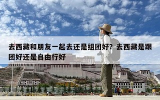 去西藏和朋友一起去還是組團(tuán)好？去西藏是跟團(tuán)好還是自由行好