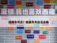 西藏冬天去？西藏冬天適合去嘛