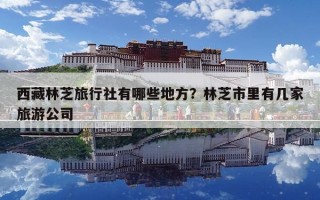 西藏林芝旅行社有哪些地方？林芝市里有幾家旅游公司