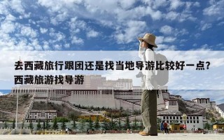 去西藏旅行跟團(tuán)還是找當(dāng)?shù)貙?dǎo)游比較好一點(diǎn)？西藏旅游找導(dǎo)游