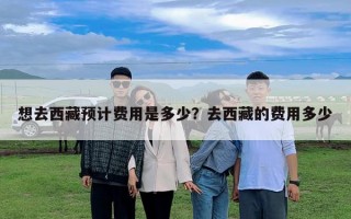 想去西藏預計費用是多少？去西藏的費用多少