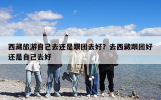 西藏旅游自己去還是跟團去好？去西藏跟團好還是自己去好
