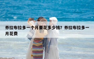 養(yǎng)拉布拉多一個月要花多少錢？養(yǎng)拉布拉多一月花費