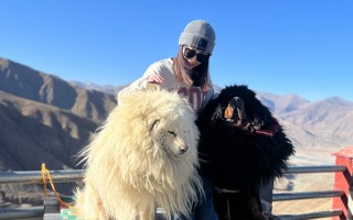 11月西藏旅游團報價要多少錢？兩個人去西藏跟團費用要好多？