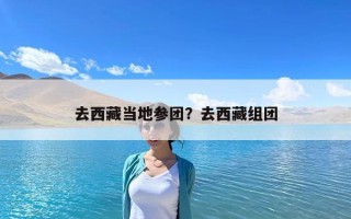 去西藏當地參團？去西藏組團