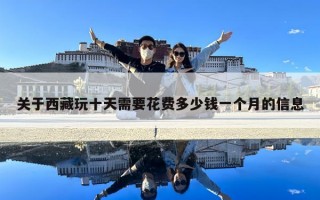 關于西藏玩十天需要花費多少錢一個月的信息