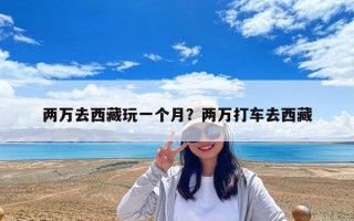 兩萬去西藏玩一個月？兩萬打車去西藏