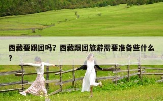 西藏要跟團嗎？西藏跟團旅游需要準備些什么?