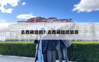 去西藏組團？去西藏組團旅游