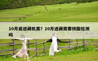 10月底進藏機票？10月進藏需要核酸檢測嗎