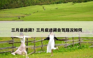 三月底進藏？三月底進藏自駕路況如何