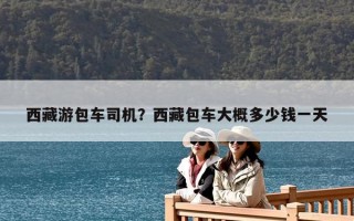 西藏游包車司機(jī)？西藏包車大概多少錢一天