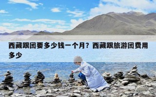 西藏跟團要多少錢一個月？西藏跟旅游團費用多少