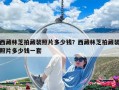 西藏林芝拍藏裝照片多少錢？西藏林芝拍藏裝照片多少錢一套
