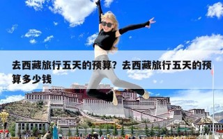 去西藏旅行五天的預算？去西藏旅行五天的預算多少錢