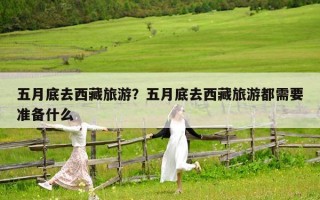 五月底去西藏旅游？五月底去西藏旅游都需要準備什么
