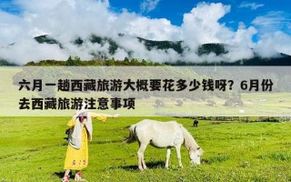 六月一趟西藏旅游大概要花多少錢呀？6月份去西藏旅游注意事項