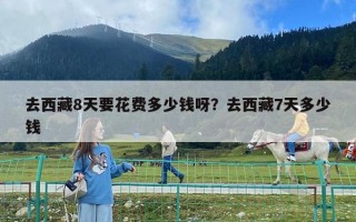 去西藏8天要花費多少錢呀？去西藏7天多少錢