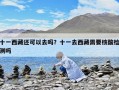 十一西藏還可以去嗎？十一去西藏需要核酸檢測(cè)嗎