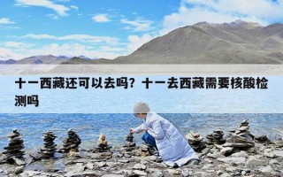 十一西藏還可以去嗎？十一去西藏需要核酸檢測(cè)嗎