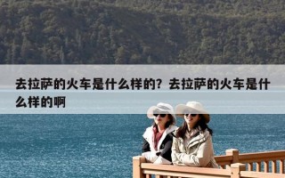 去拉薩的火車是什么樣的？去拉薩的火車是什么樣的啊