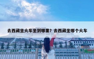 去西藏坐火車坐到哪里？去西藏坐哪個火車