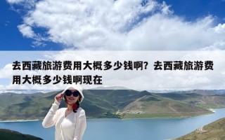 去西藏旅游費(fèi)用大概多少錢??？去西藏旅游費(fèi)用大概多少錢啊現(xiàn)在