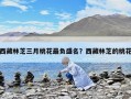 西藏林芝三月桃花最負盛名？西藏林芝的桃花