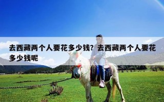 去西藏兩個人要花多少錢？去西藏兩個人要花多少錢呢