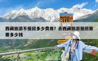西藏旅游不報團(tuán)多少費用？去西藏旅游報團(tuán)需要多少錢