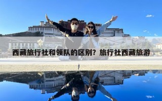 西藏旅行社和領(lǐng)隊的區(qū)別？旅行社西藏旅游