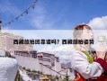 西藏旅拍團靠譜嗎？西藏旅拍姿勢