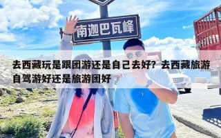 去西藏玩是跟團游還是自己去好？去西藏旅游自駕游好還是旅游團好