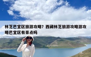 林芝巴宜區(qū)旅游攻略？西藏林芝旅游攻略游攻略巴宜區(qū)有景點嗎