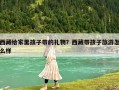 西藏給家里孩子帶的禮物？西藏帶孩子旅游怎么樣