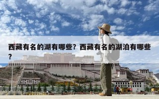 西藏有名的湖有哪些？西藏有名的湖泊有哪些?