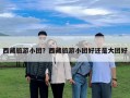 西藏旅游小團？西藏旅游小團好還是大團好
