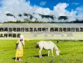 西藏當(dāng)?shù)芈眯猩缭趺礃影。课鞑禺?dāng)?shù)芈眯猩缭趺礃影∽罱? class=