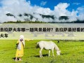 去拉薩火車哪一趟風景最好？去拉薩最好看的火車