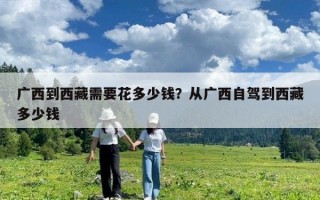 廣西到西藏需要花多少錢？從廣西自駕到西藏多少錢