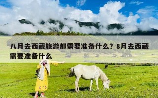 八月去西藏旅游都需要準備什么？8月去西藏需要準備什么