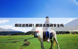 跟團進西藏？跟團去西藏安全嗎