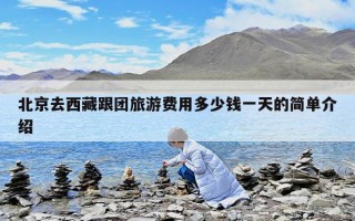 北京去西藏跟團旅游費用多少錢一天的簡單介紹