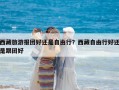 西藏旅游報團好還是自由行？西藏自由行好還是跟團好