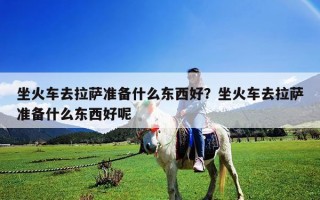 坐火車去拉薩準備什么東西好？坐火車去拉薩準備什么東西好呢