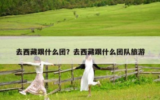 去西藏跟什么團？去西藏跟什么團隊旅游