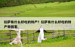 拉薩有什么好吃的特產？拉薩有什么好吃的特產帶回家
