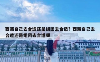 西藏自己去合適還是組團(tuán)去合適？西藏自己去合適還是組團(tuán)去合適呢